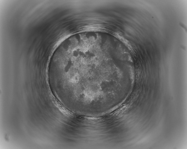 X0000096141427200802081338