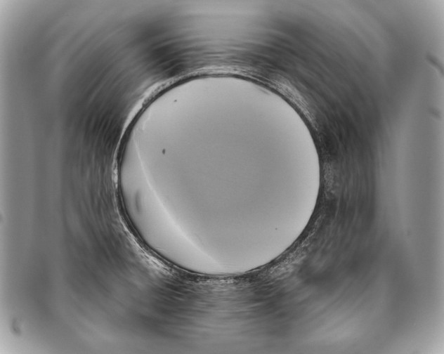 X0000096141428200802081338