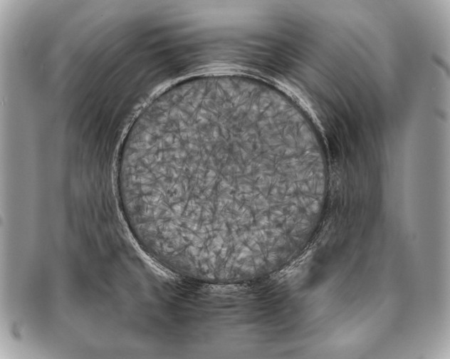 X0000096141429200802081338