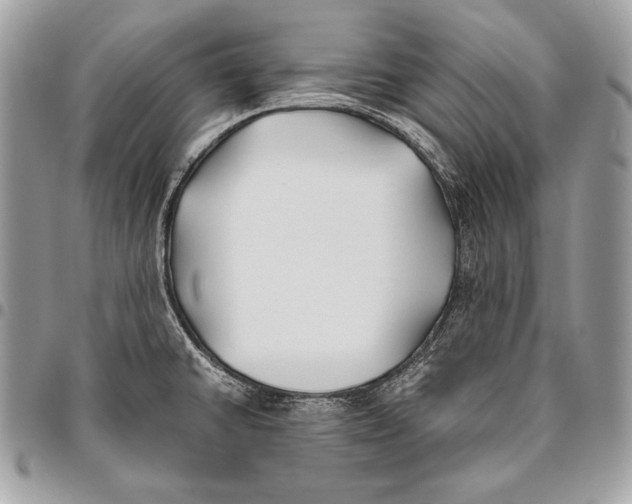 X0000096141430200802081338