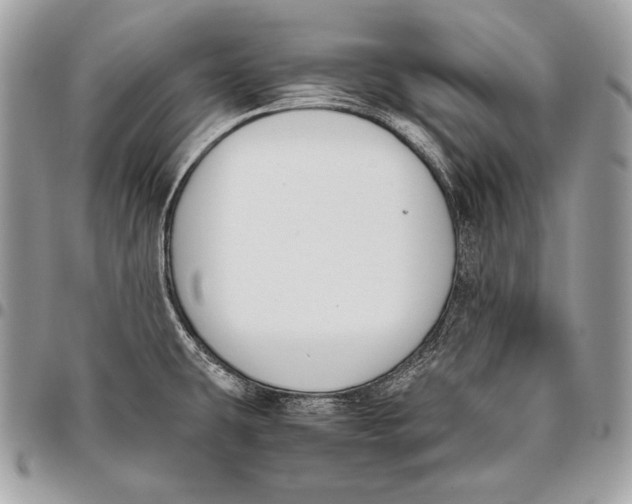 X0000096141431200802081338