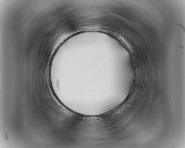 X0000096141432200802081338
