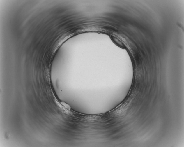 X0000096141433200802081338