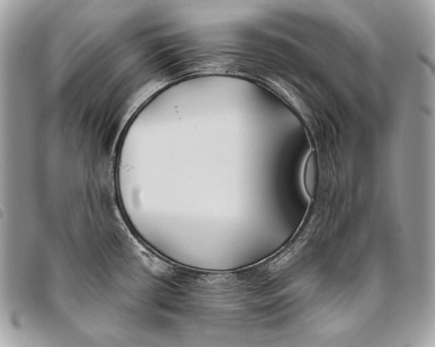 X0000096141434200802081338
