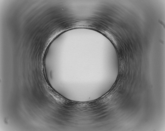 X0000096141435200802081338