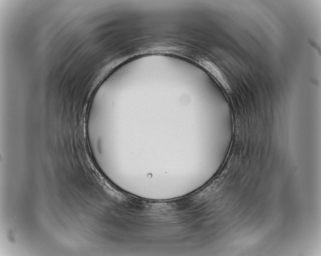 X0000096141436200802081338