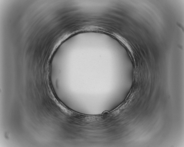 X0000096141437200802081338