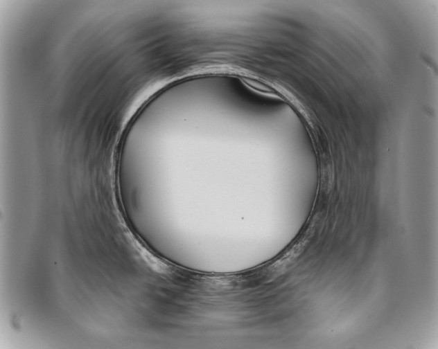 X0000096141438200802081338