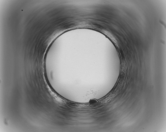 X0000096141439200802081338