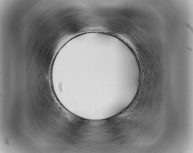 X0000096141440200802081338