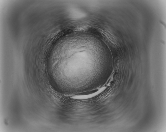 X0000096141441200802081337