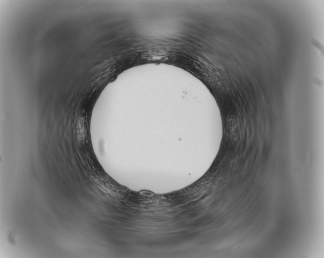 X0000096141442200802081337