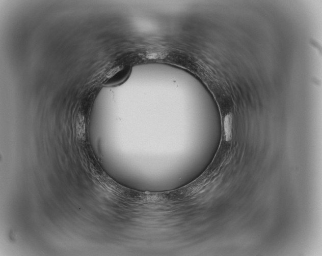 X0000096141443200802081337
