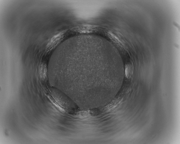X0000096141444200802081337
