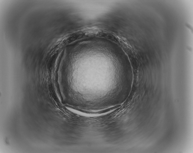 X0000096141445200802081337