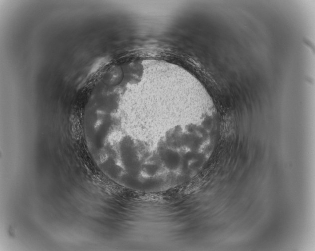 X0000096141446200802081337