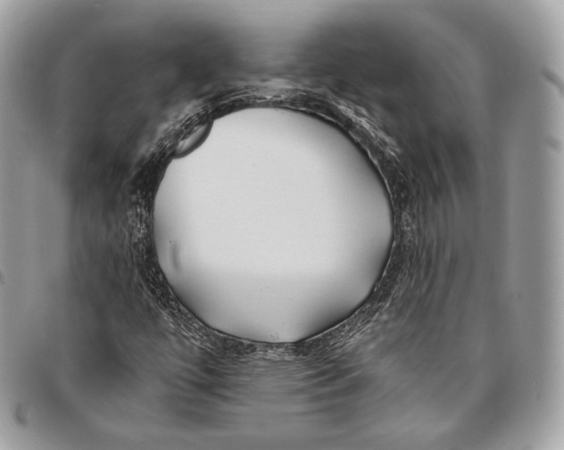 X0000096141447200802081337