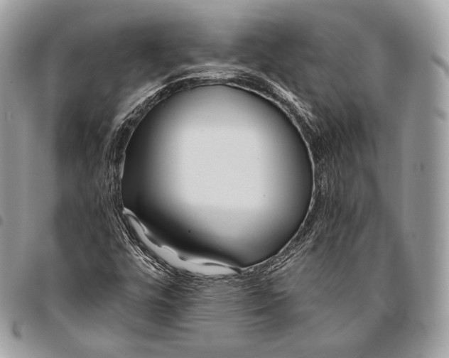 X0000096141448200802081337