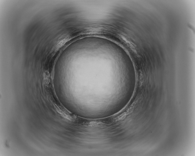 X0000096141449200802081337