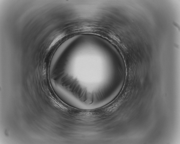 X0000096141450200802081337