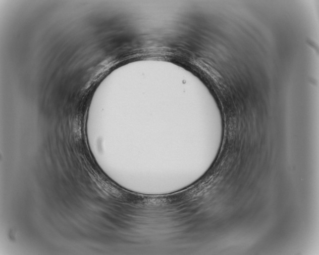 X0000096141451200802081337