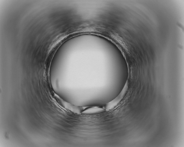 X0000096141452200802081337