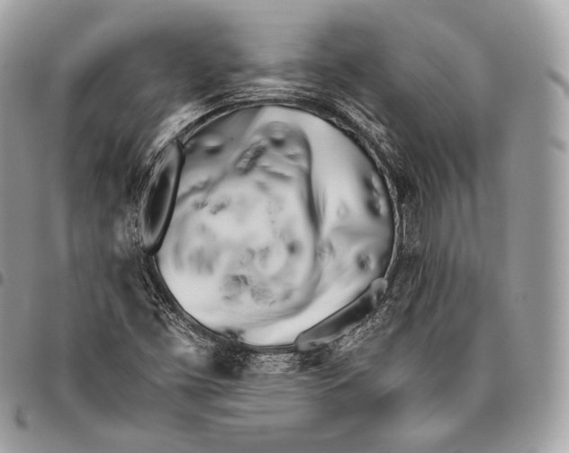X0000096141453200802081337