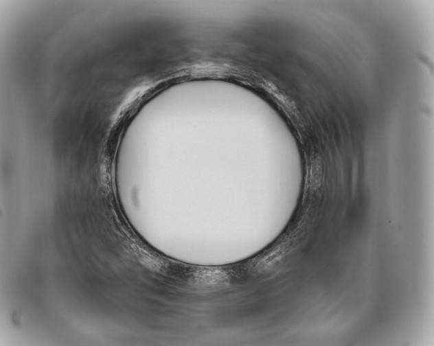 X0000096141454200802081337