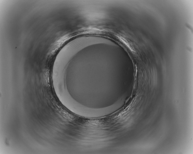 X0000096141455200802081337