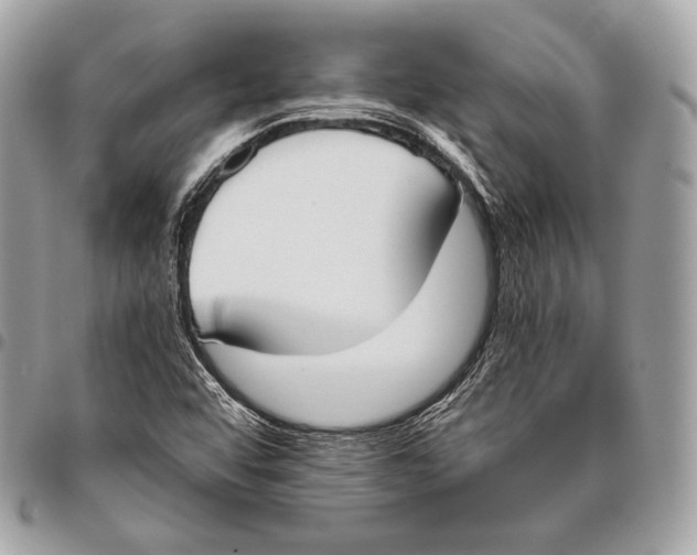 X0000096141456200802081337
