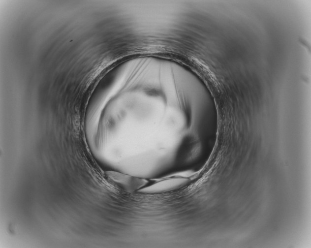 X0000096141457200802081337