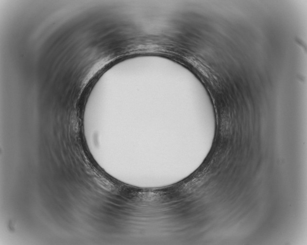 X0000096141458200802081337