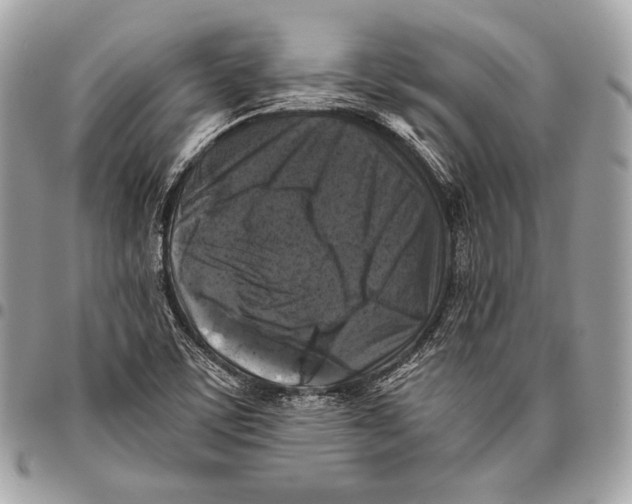X0000096141459200802081337