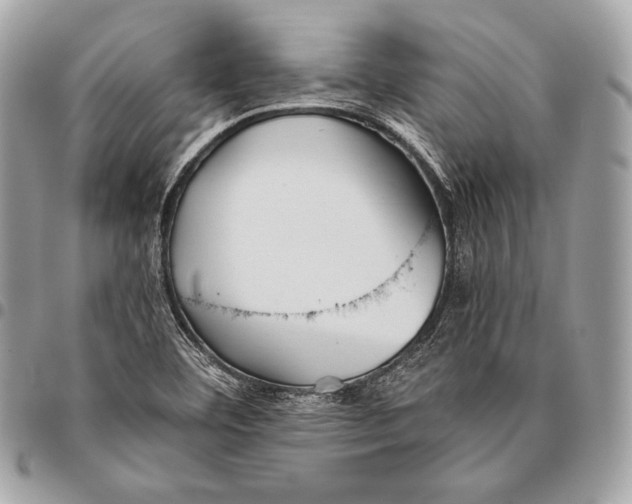 X0000096141460200802081337