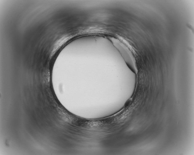 X0000096141461200802081337