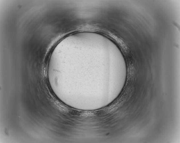 X0000096141462200802081337