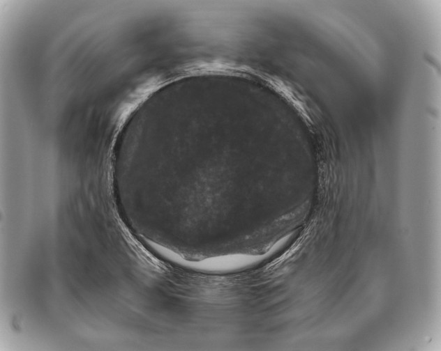 X0000096141463200802081337
