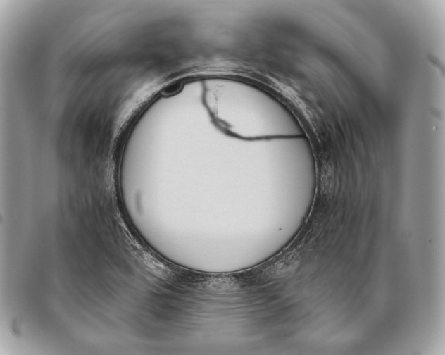X0000096141464200802081337
