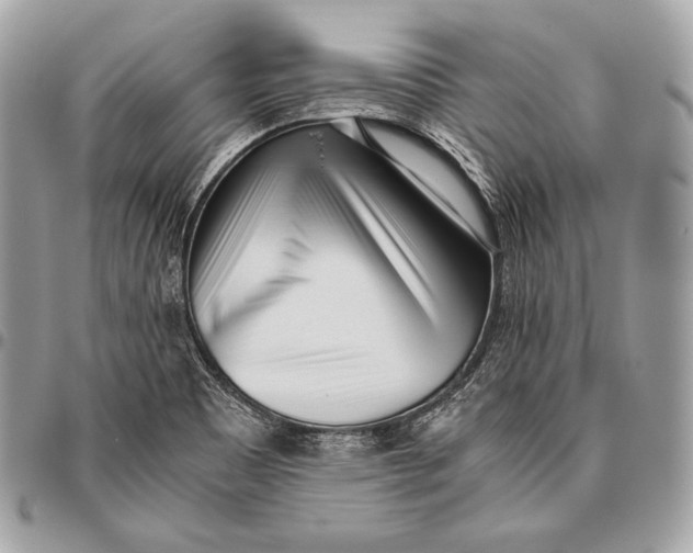 X0000096141465200802081337