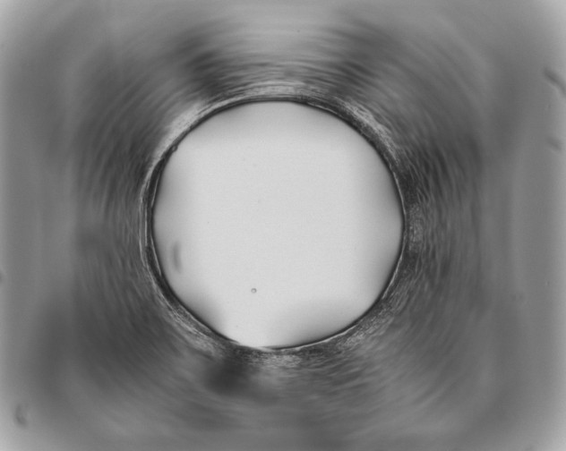 X0000096141467200802081337