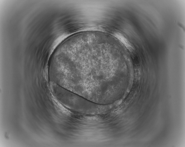 X0000096141468200802081337