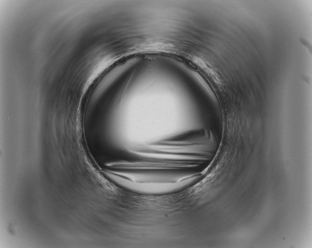 X0000096141469200802081337