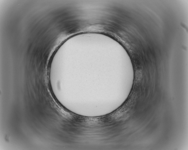 X0000096141470200802081337