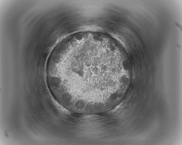 X0000096141471200802081337