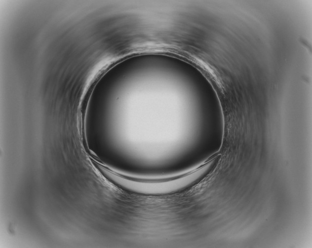 X0000096141472200802081337