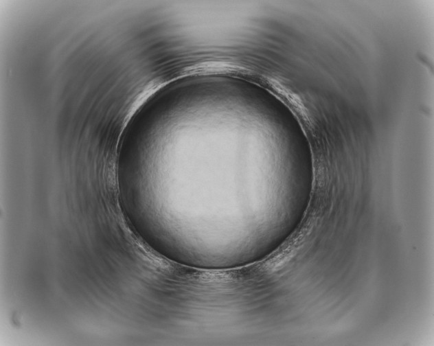 X0000096141473200802081337