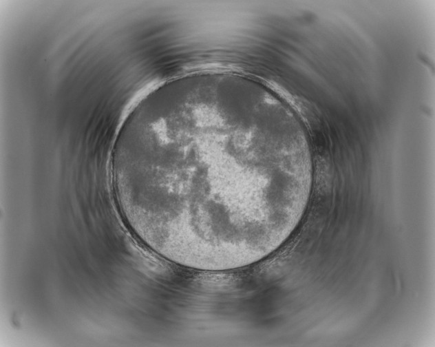 X0000096141474200802081337