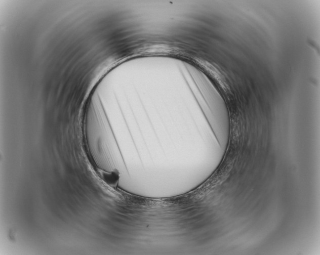 X0000096141475200802081337