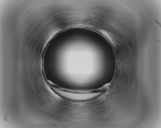 X0000096141476200802081337