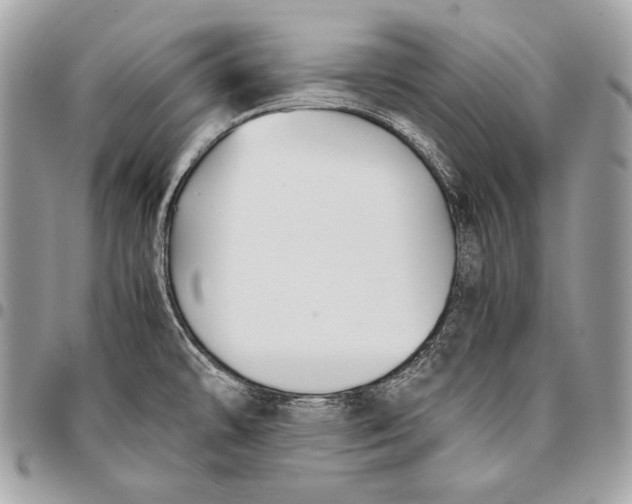 X0000096141478200802081337